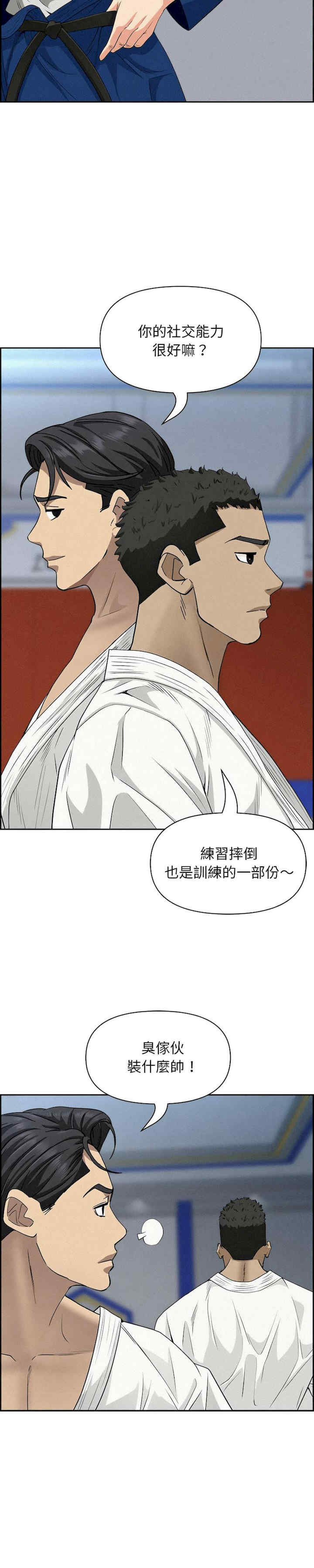 贵妇的专属保镖