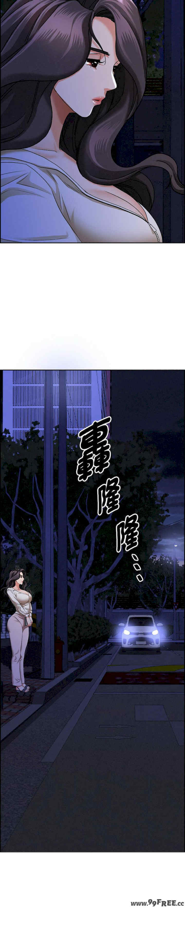 贵妇的专属保镖