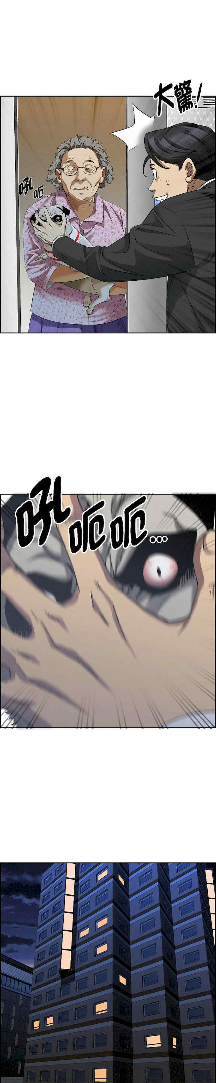 贵妇的专属保镖