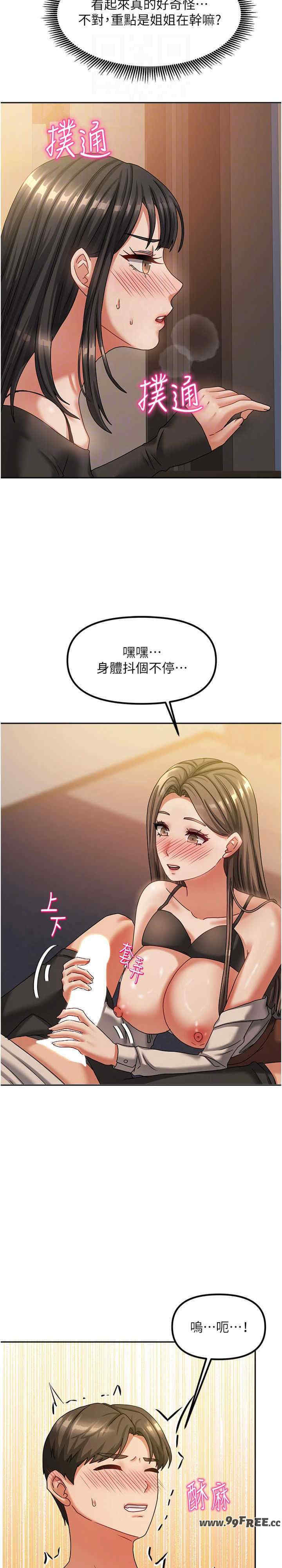 我家的女房客
