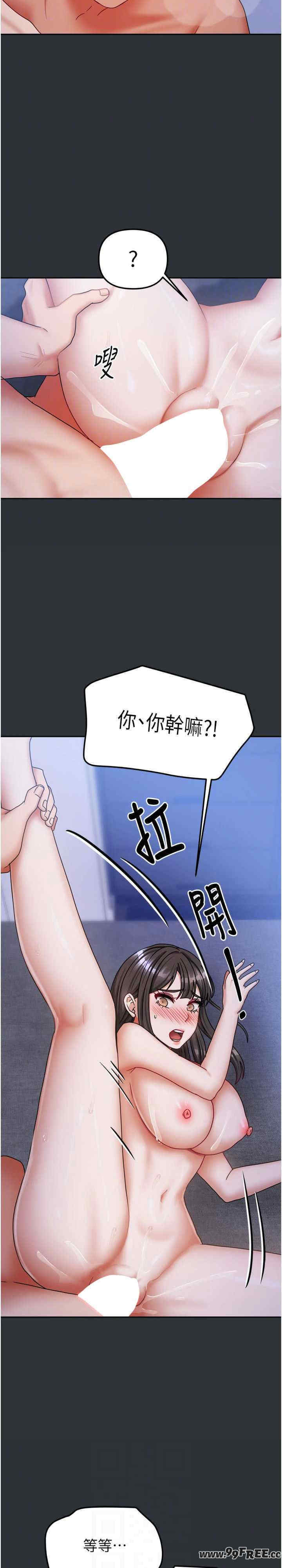 我家的女房客