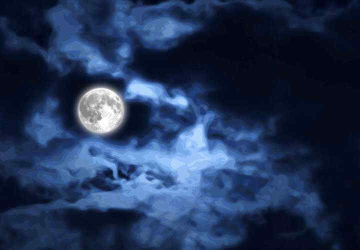 黑道上班族/我身体里的那个家伙