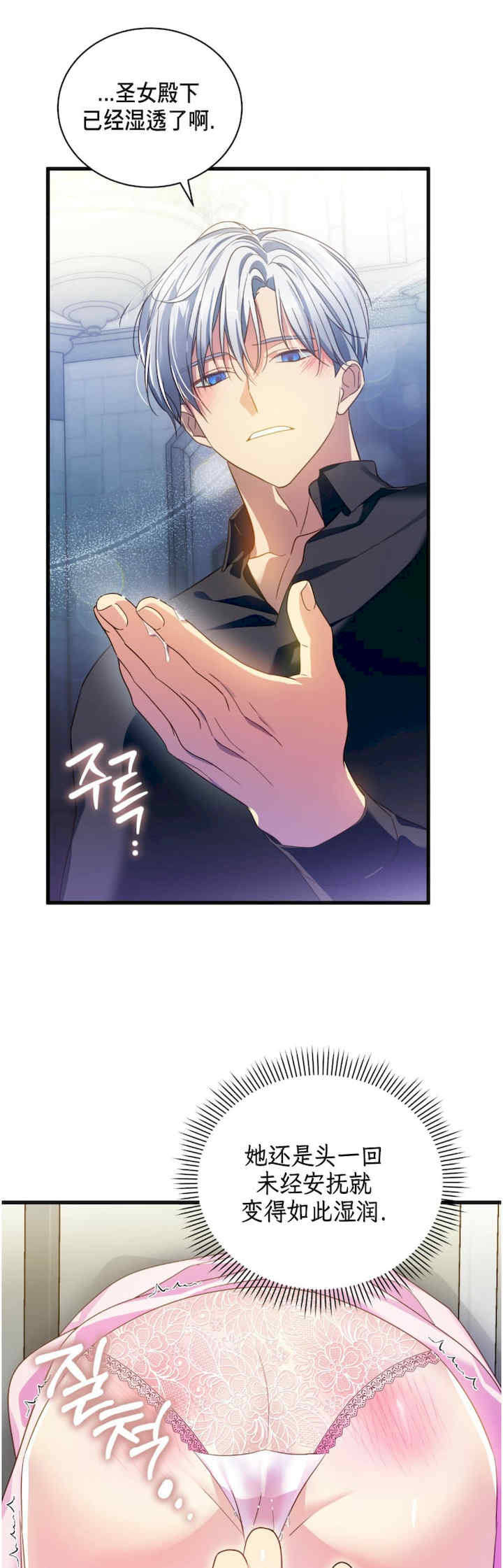 卡于墙中的圣女殿下