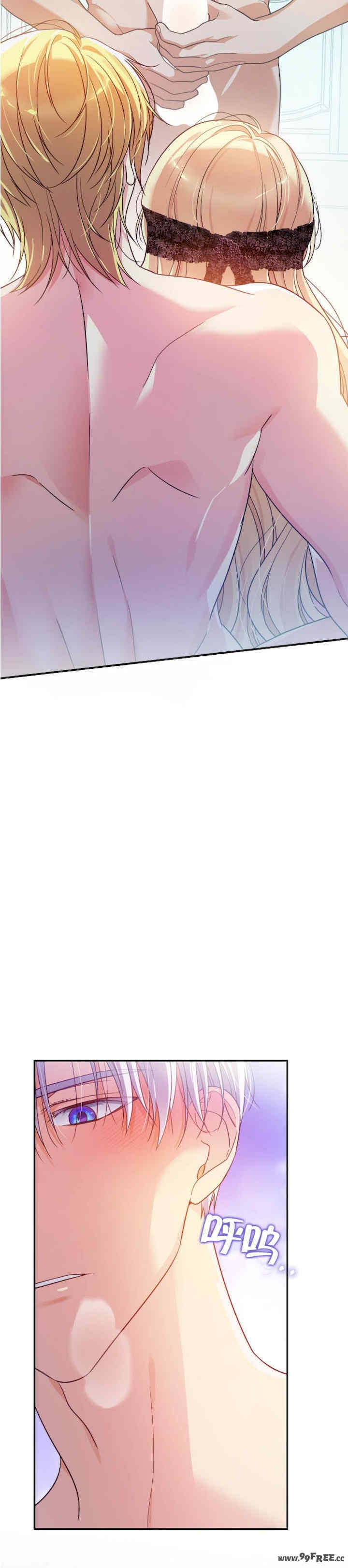 卡于墙中的圣女殿下