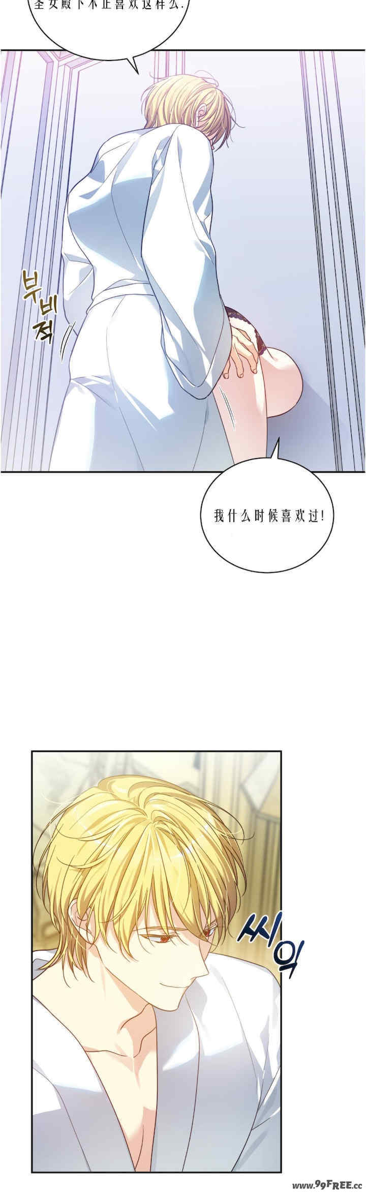 卡于墙中的圣女殿下