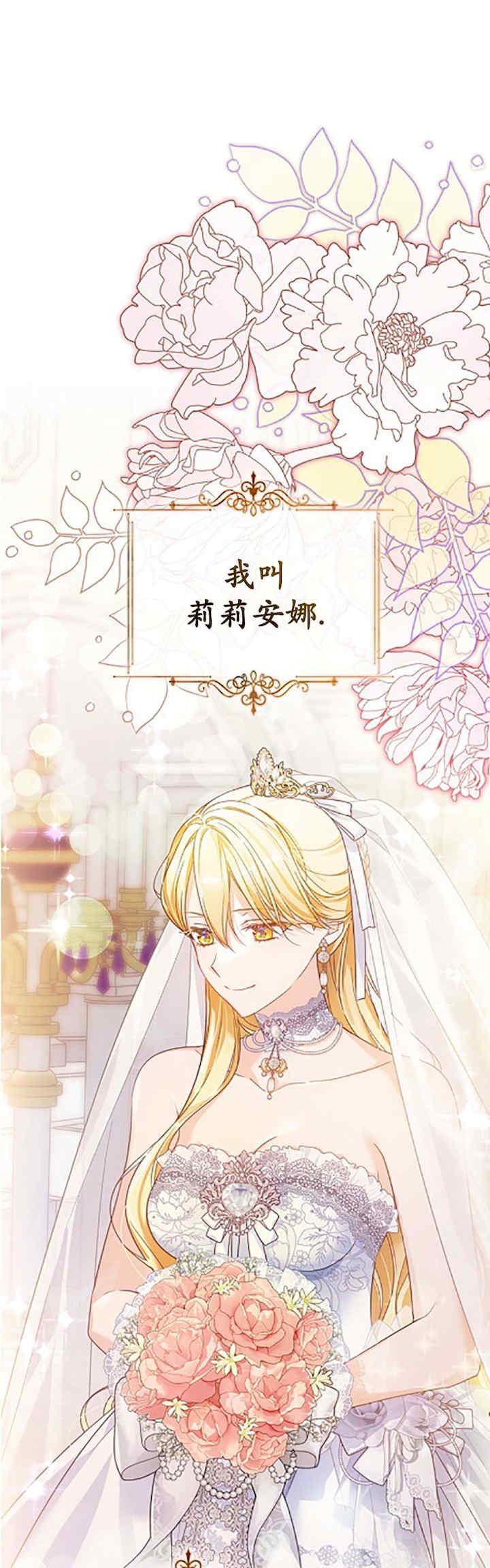 卡于墙中的圣女殿下