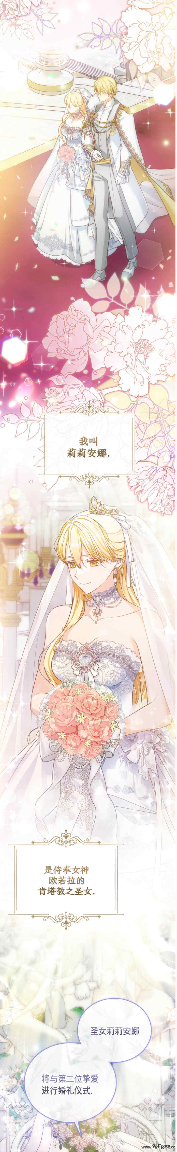 卡于墙中的圣女殿下