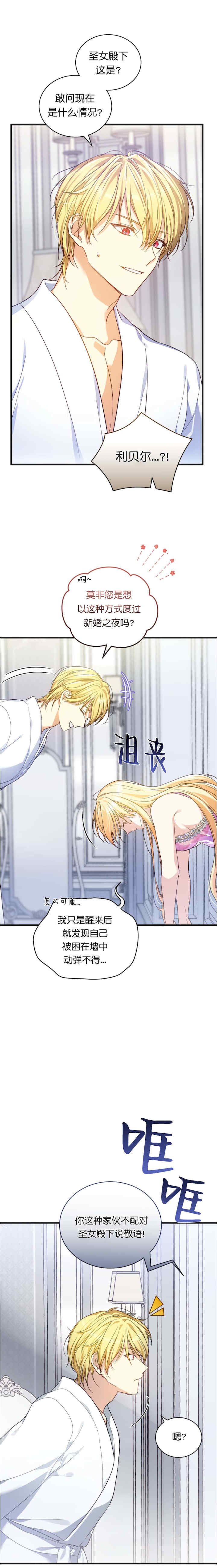 卡于墙中的圣女殿下