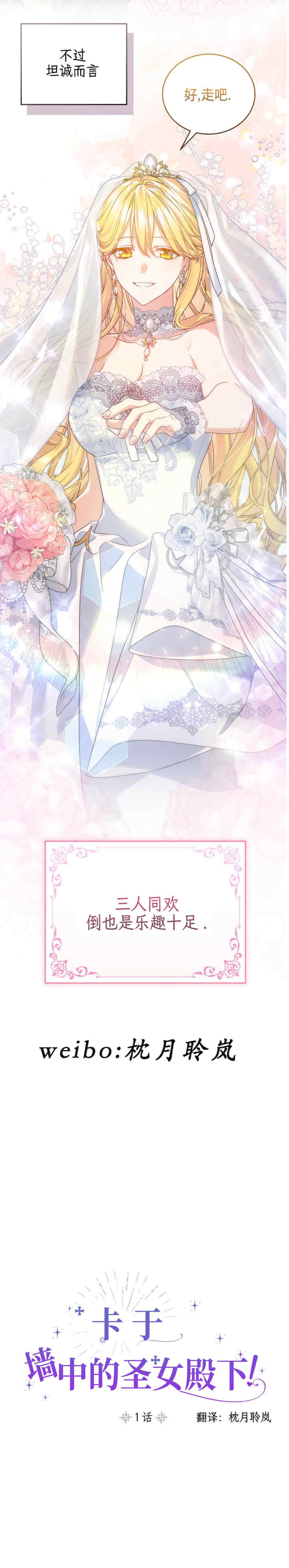 卡于墙中的圣女殿下