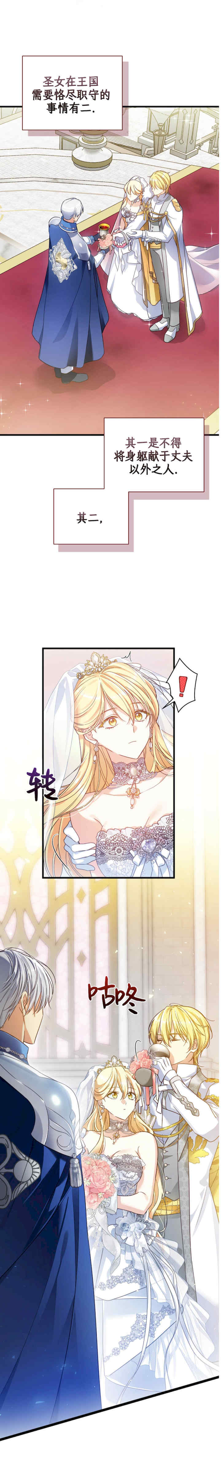 卡于墙中的圣女殿下