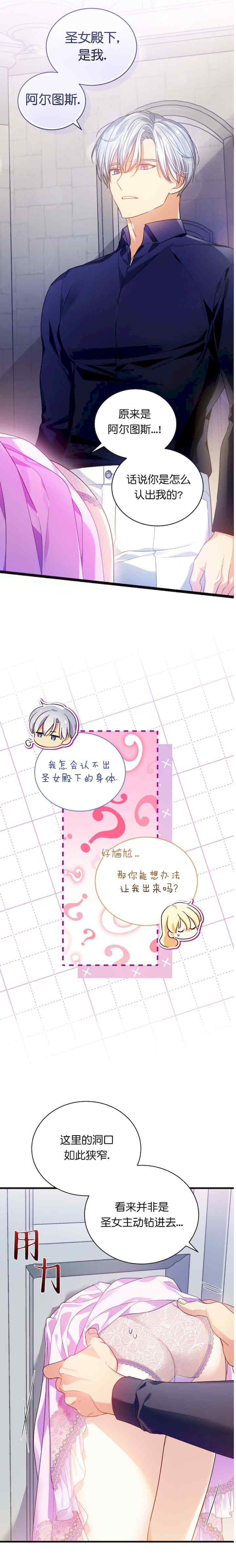 卡于墙中的圣女殿下