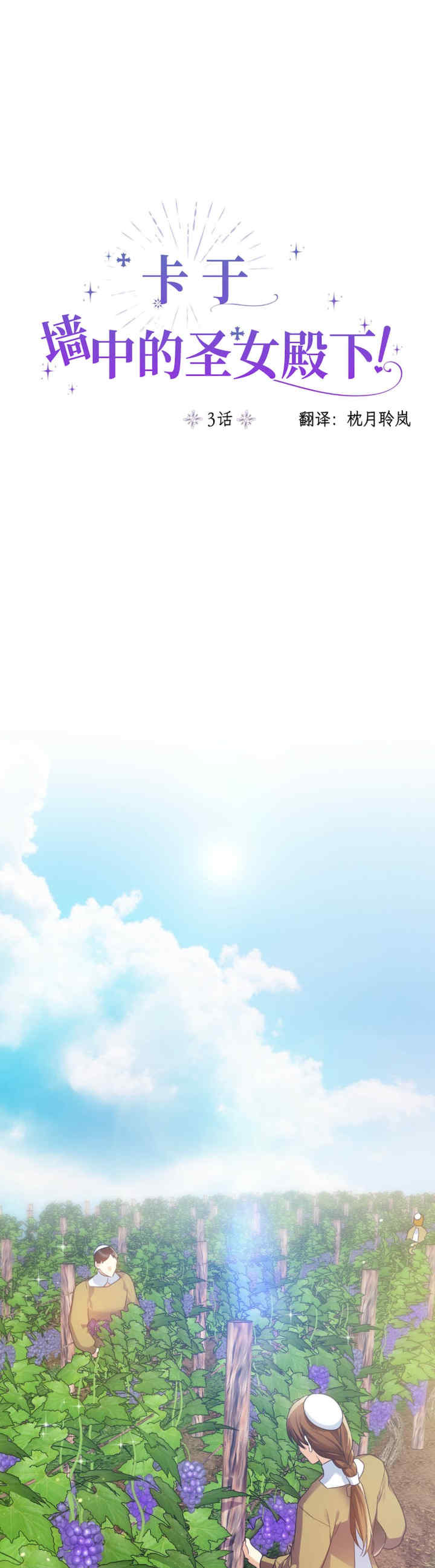 卡于墙中的圣女殿下