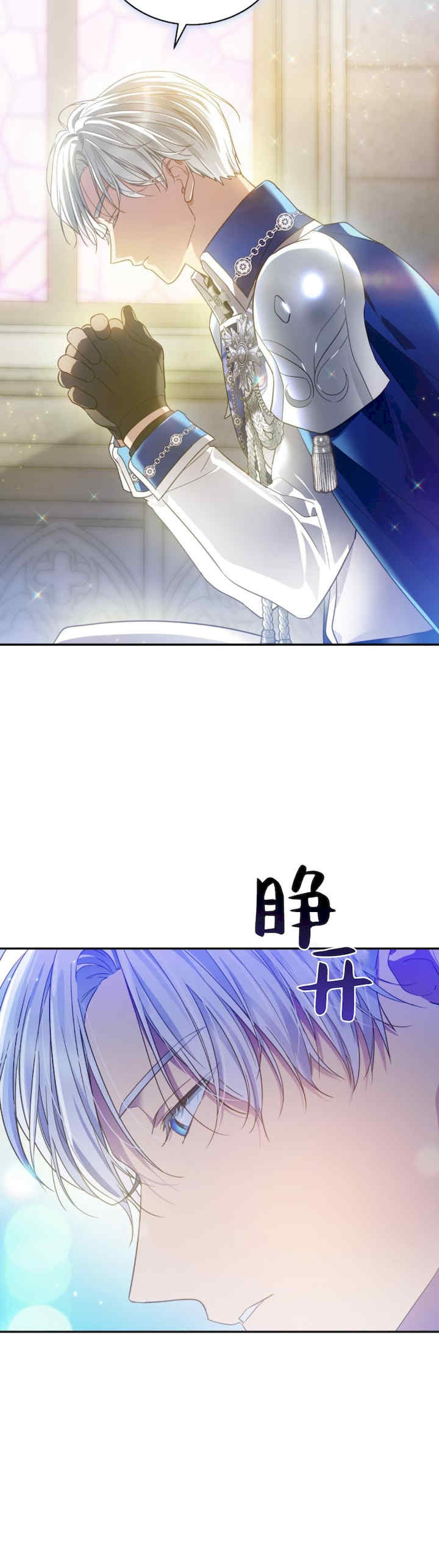 卡于墙中的圣女殿下