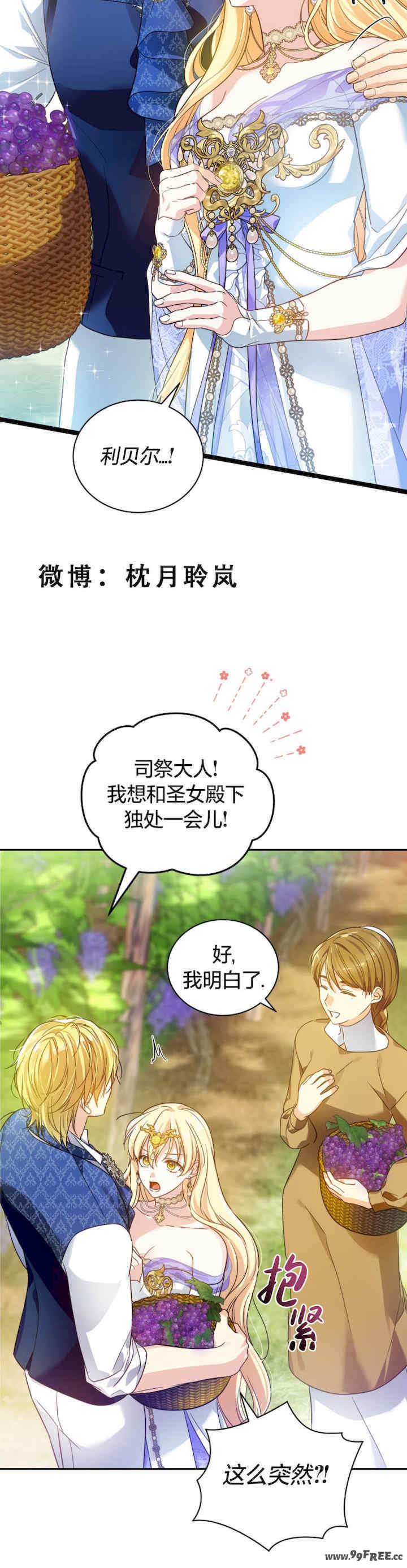 卡于墙中的圣女殿下