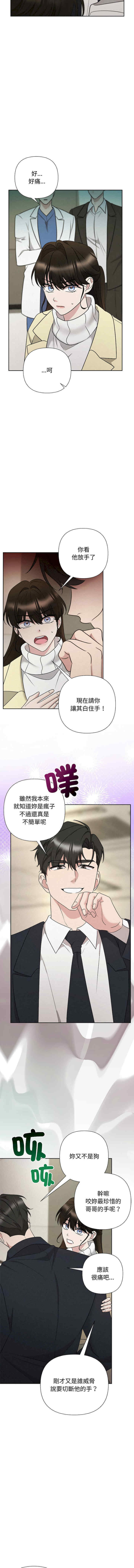 吞噬暗夜/被吞噬的夜