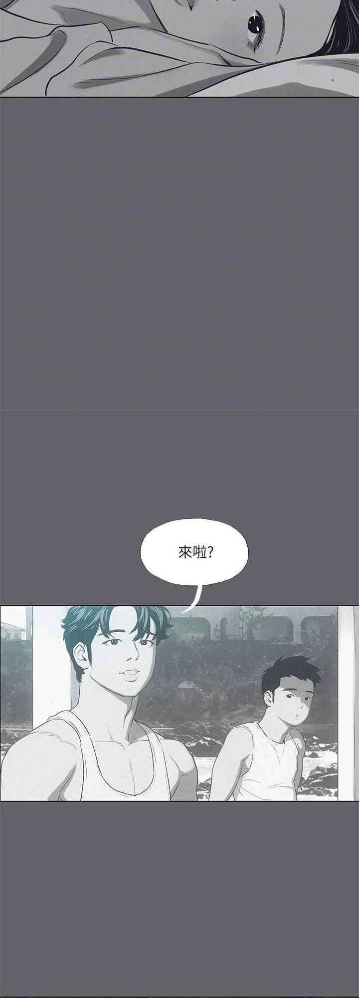 纵夏夜之梦(无码版)