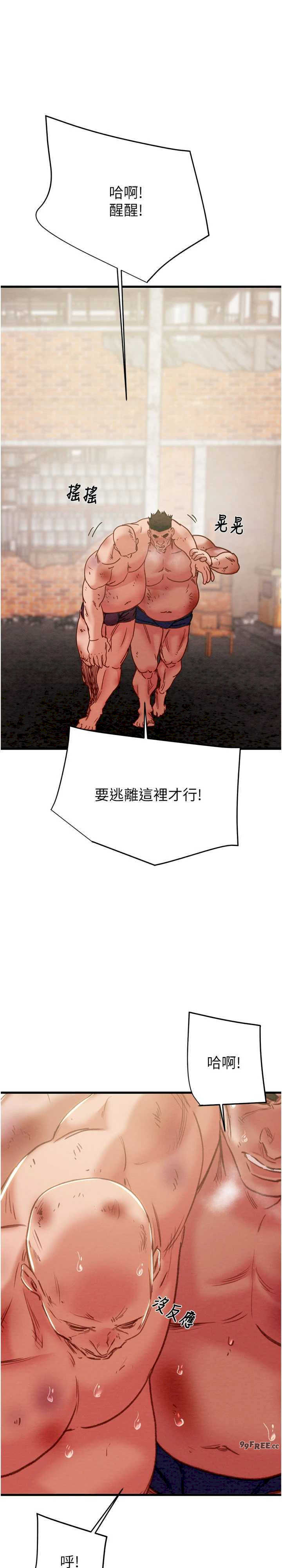 掠夺行动/抢夺的滋味