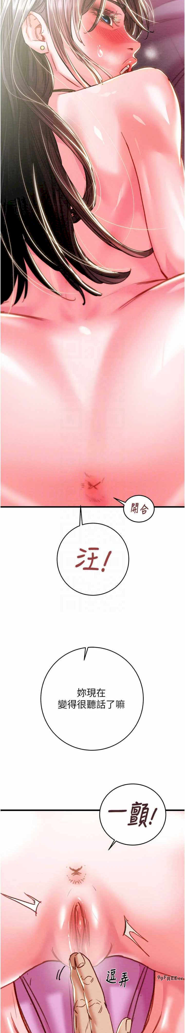 掠夺行动/抢夺的滋味