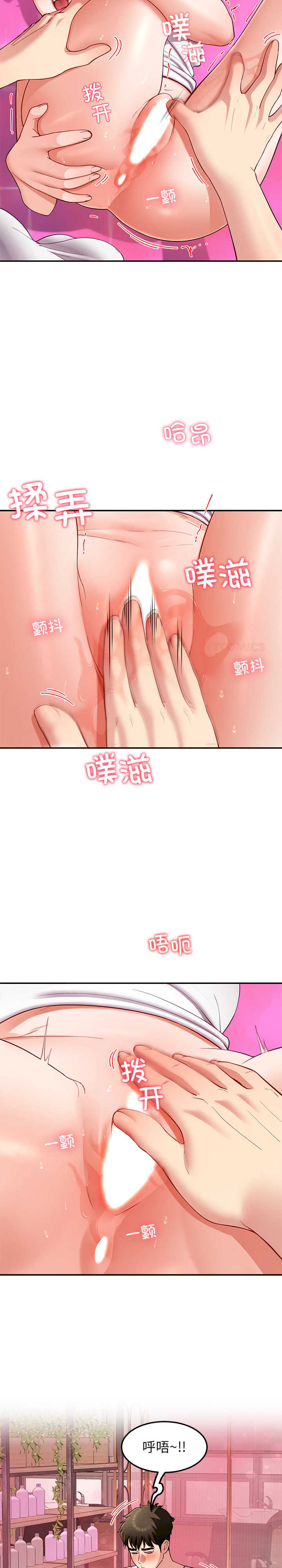 后宫之王