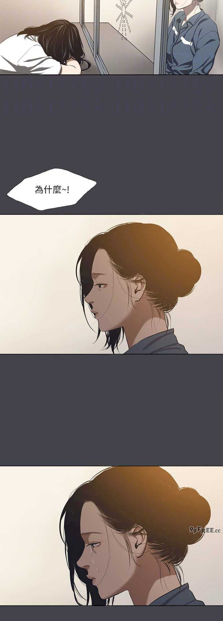 纵夏夜之梦(无码版)