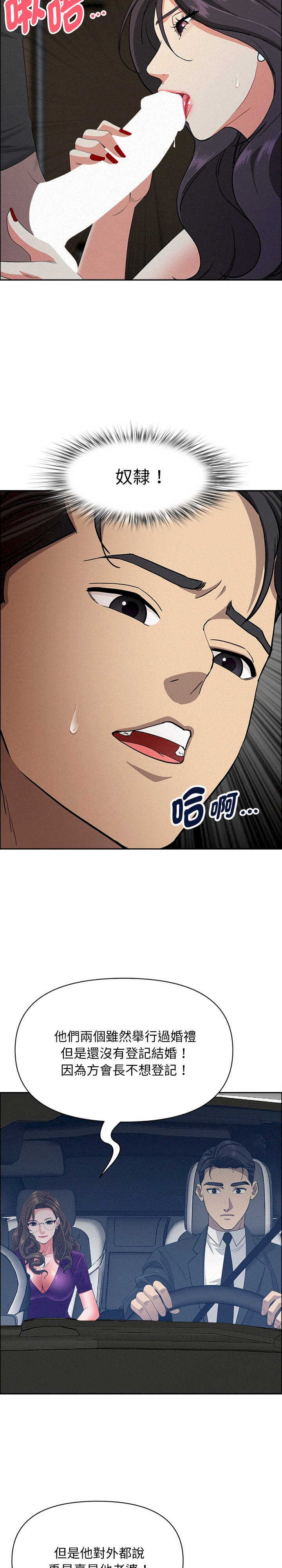 贵妇的专属保镖