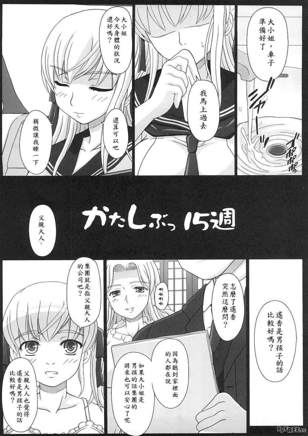 [幸せ共和国 (幸せのかたち)] かたしぶっ フルカラー 0-15-25-35-40+会場限定本 [中国翻訳][疏碼]