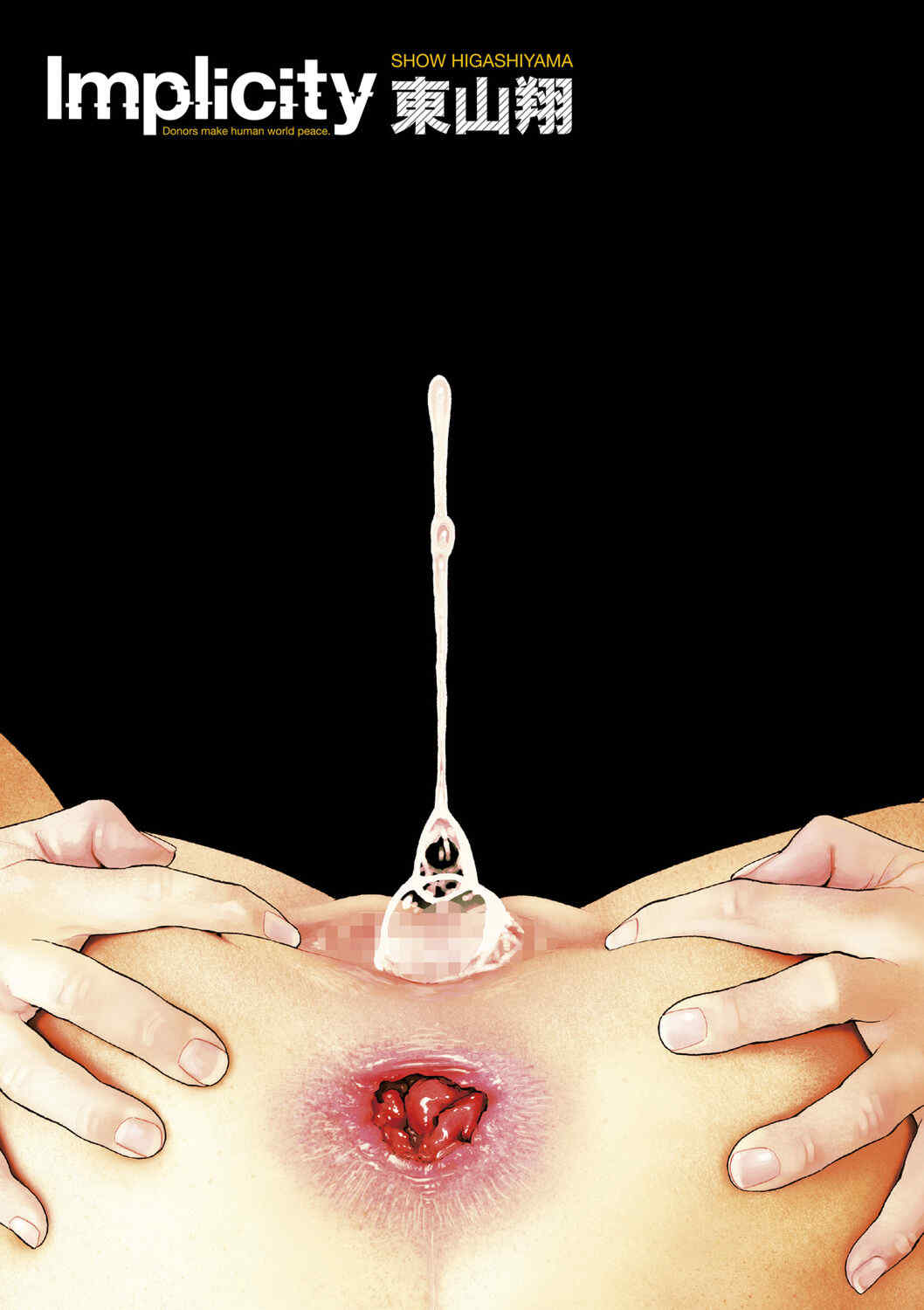 [東山翔] Implicity [中国翻訳] [DL版]