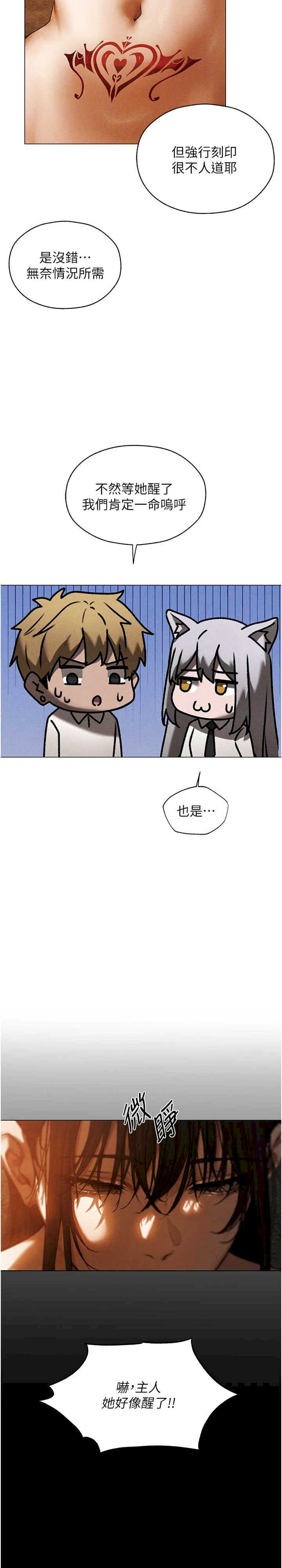 异界猎妻人/人妻猎人