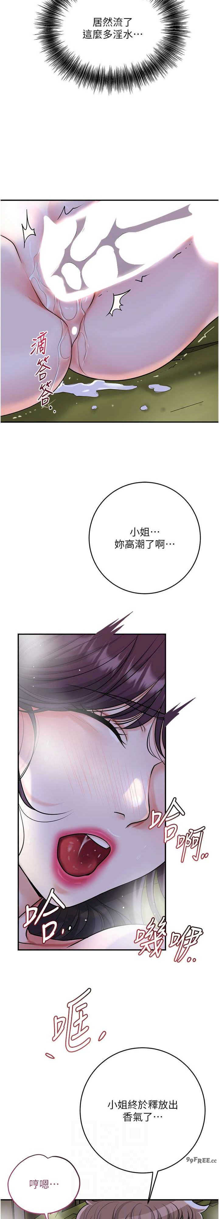 花容湿色:取花点