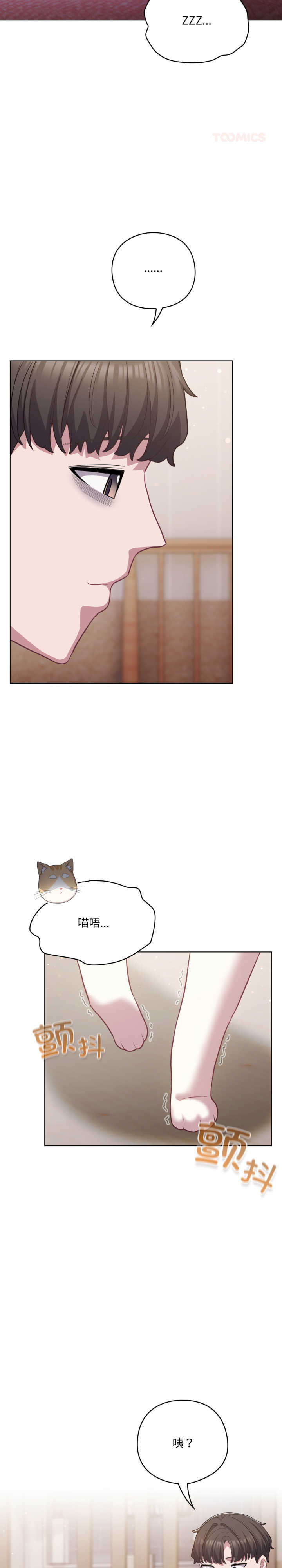 猫猫牵红线/喵来的恋爱