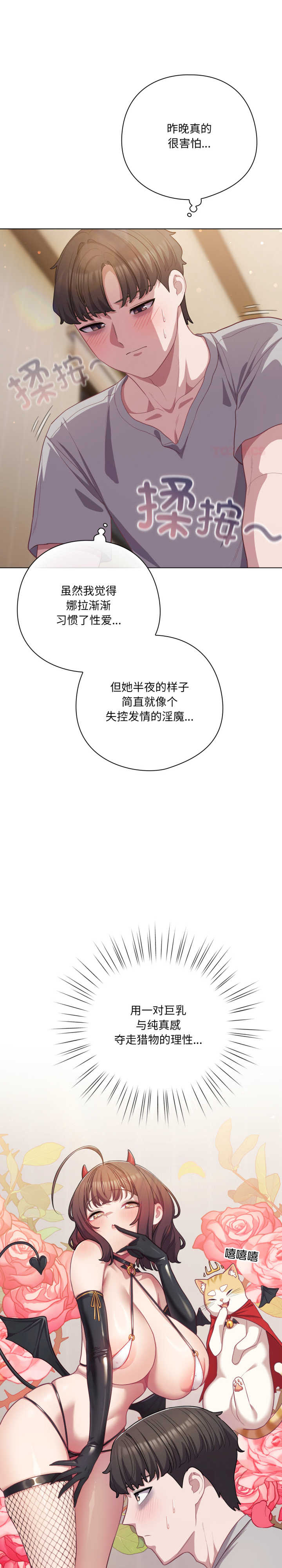 猫猫牵红线/喵来的恋爱