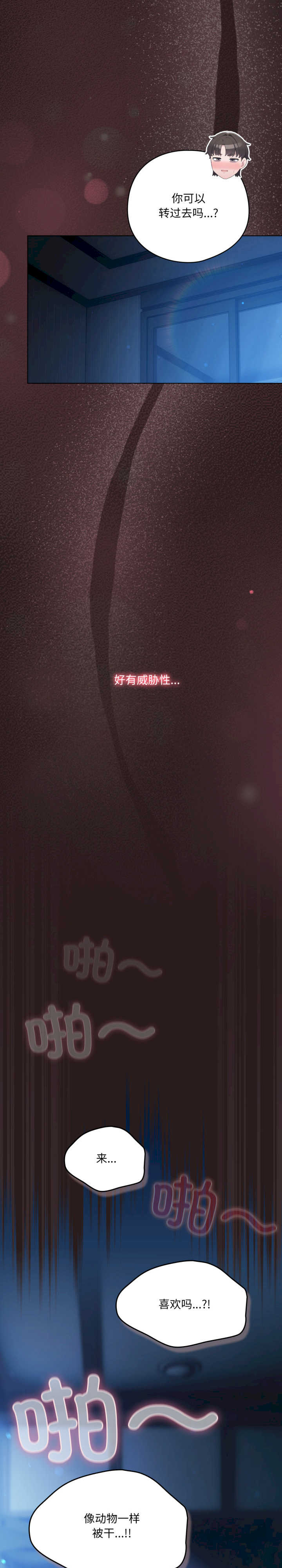 猫猫牵红线/喵来的恋爱