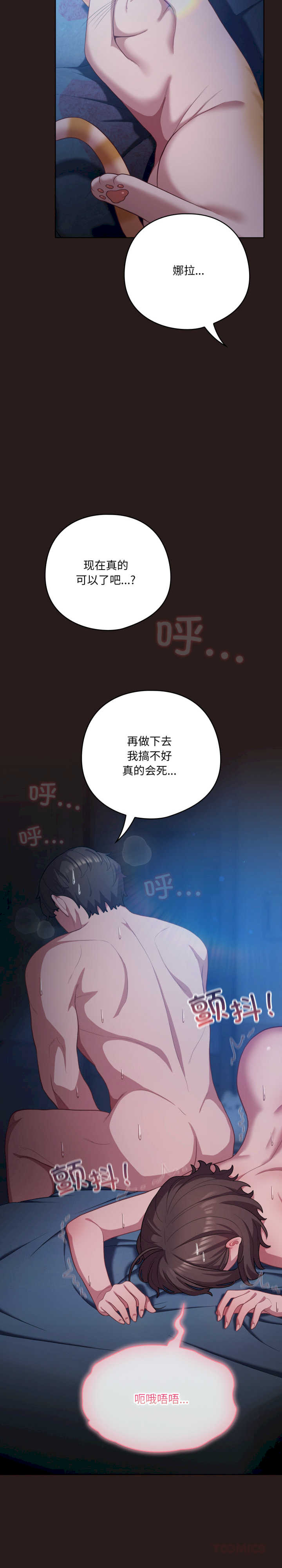 猫猫牵红线/喵来的恋爱