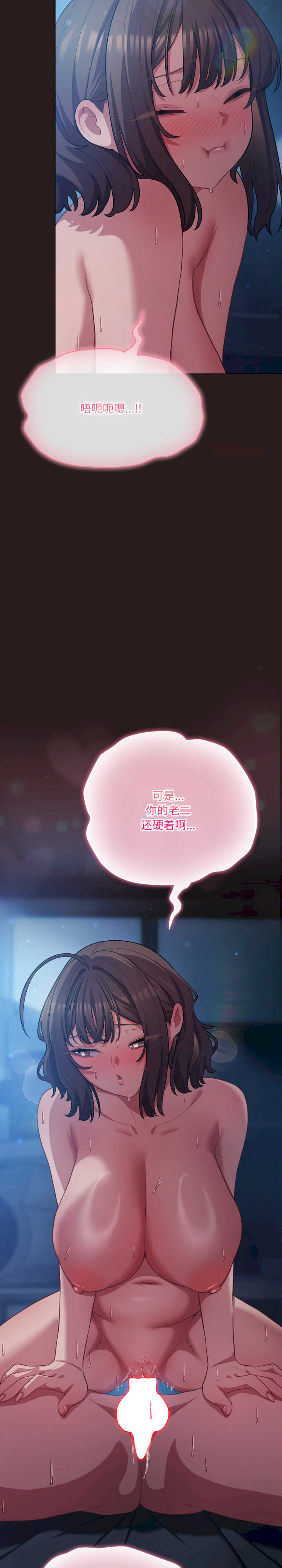 猫猫牵红线/喵来的恋爱