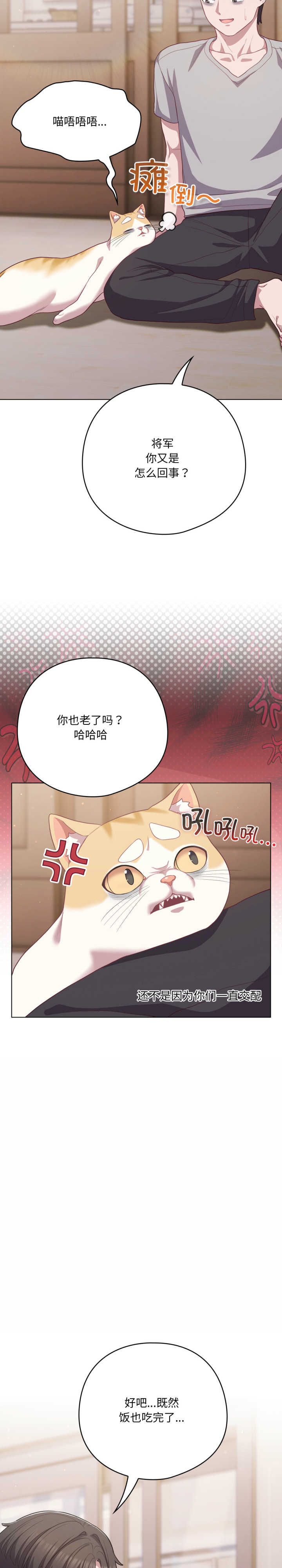 猫猫牵红线/喵来的恋爱