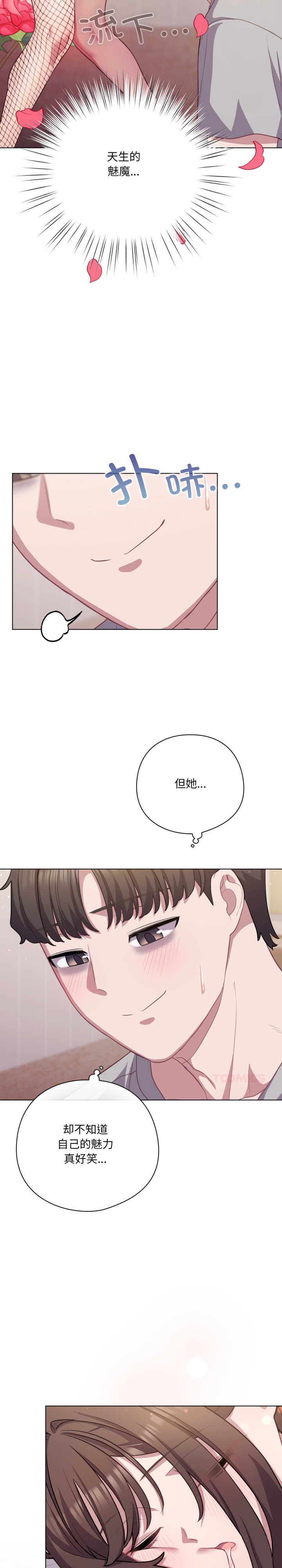 猫猫牵红线/喵来的恋爱