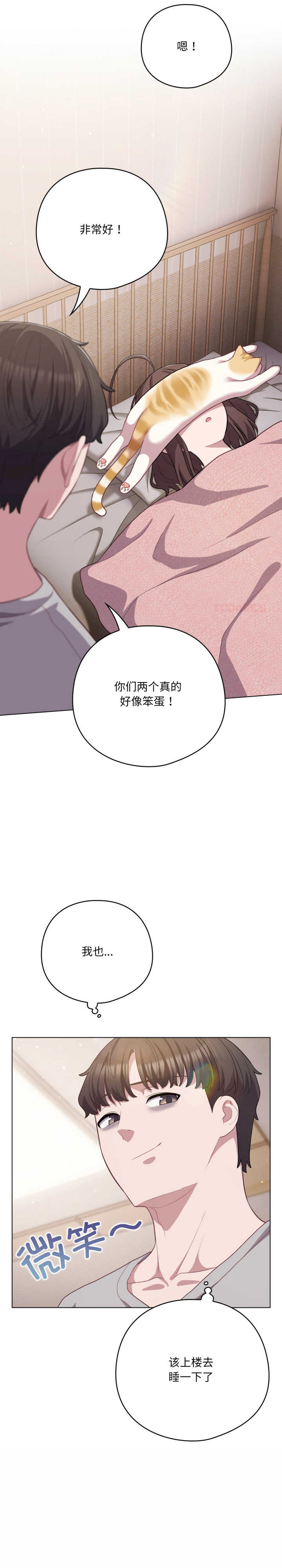 猫猫牵红线/喵来的恋爱