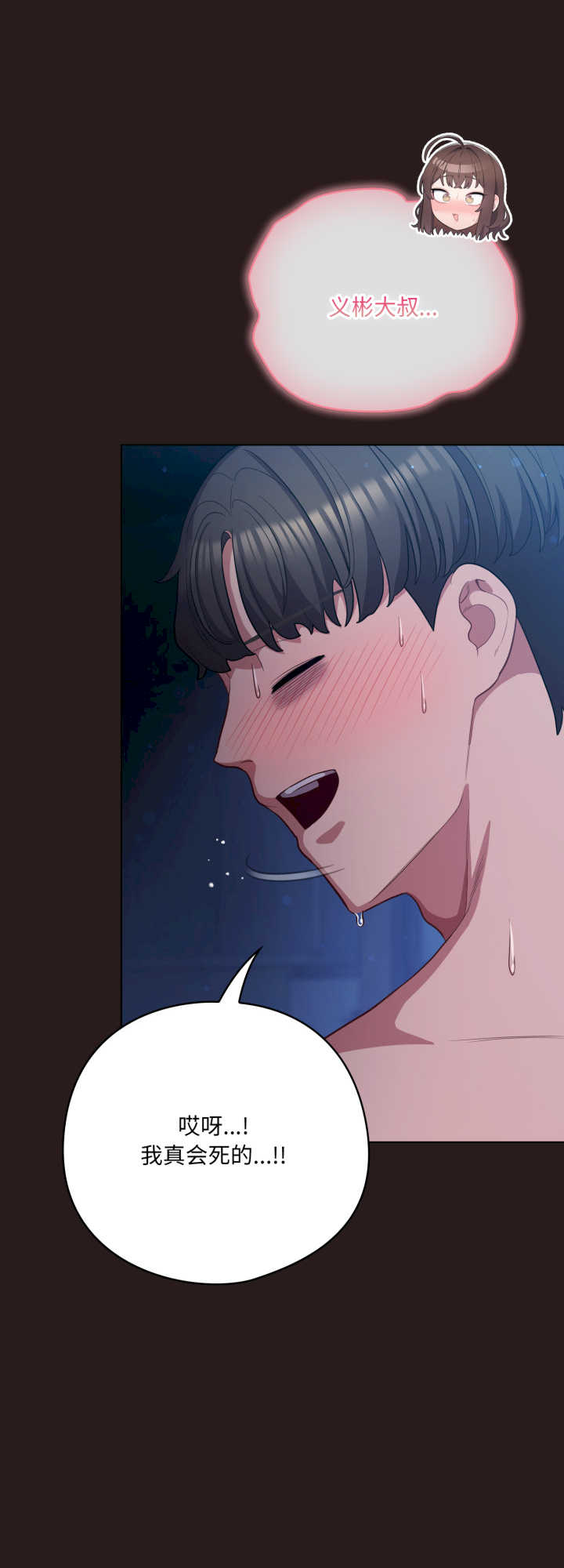 猫猫牵红线/喵来的恋爱