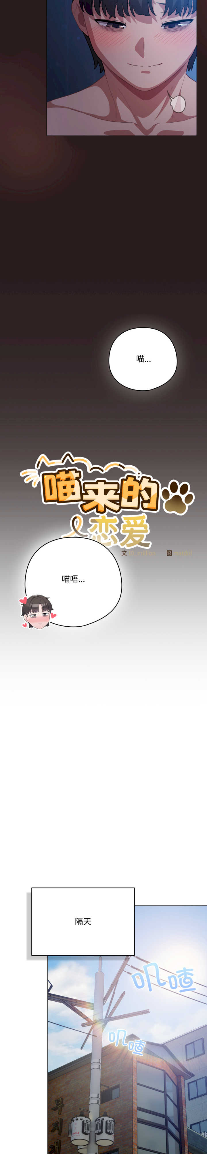 猫猫牵红线/喵来的恋爱