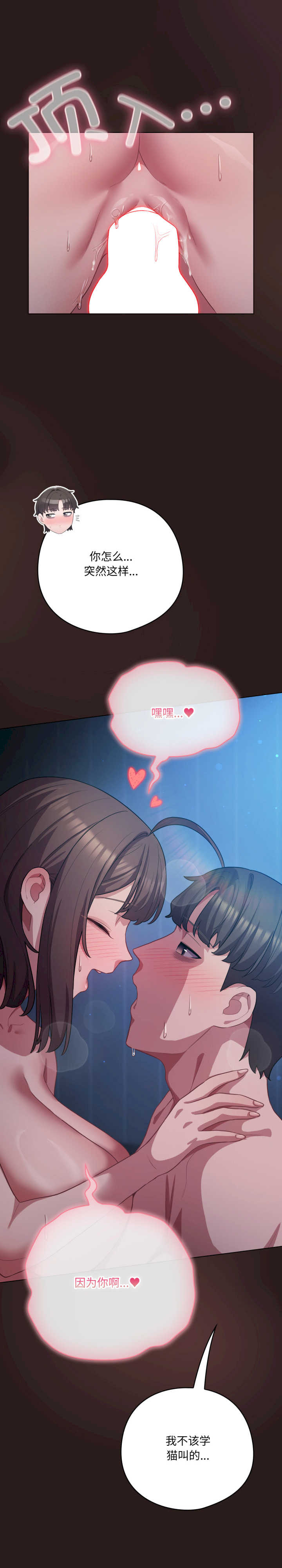 猫猫牵红线/喵来的恋爱