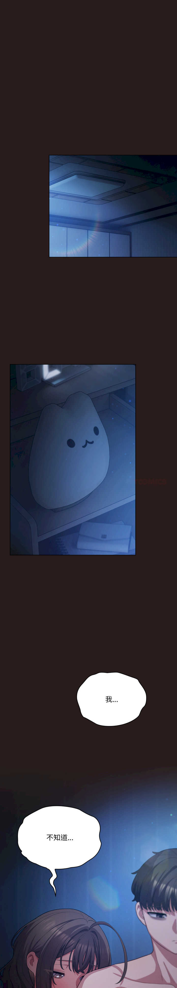 猫猫牵红线/喵来的恋爱