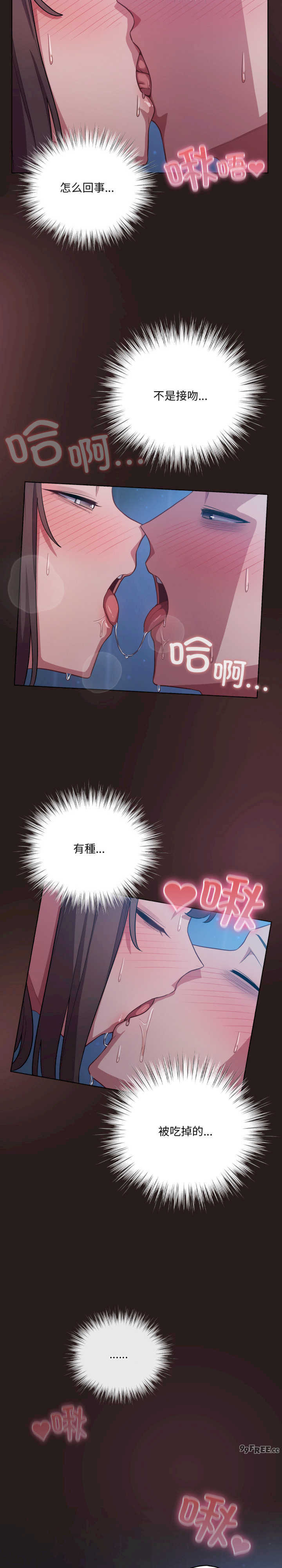 猫猫牵红线/喵来的恋爱