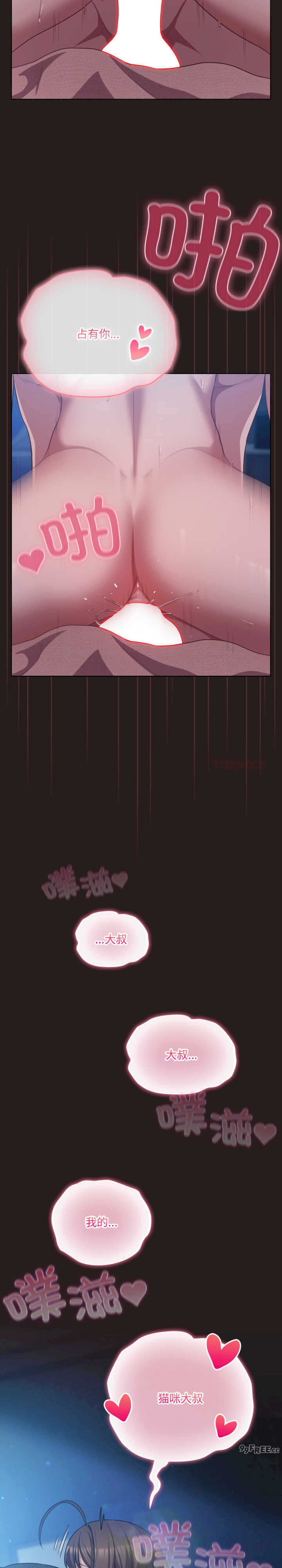 猫猫牵红线/喵来的恋爱