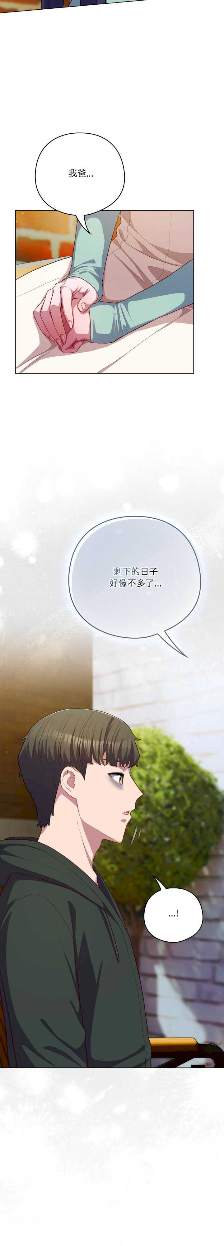 猫猫牵红线/喵来的恋爱