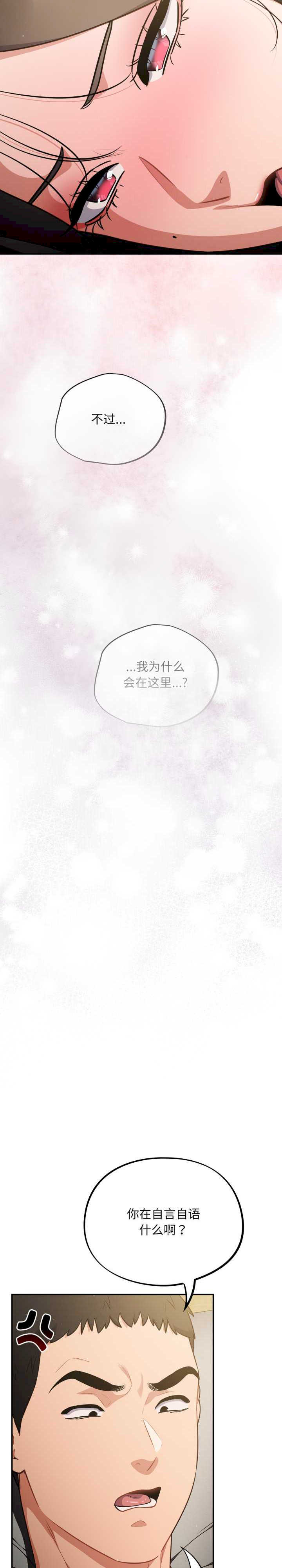 傻瓜病毒/傻傻病毒