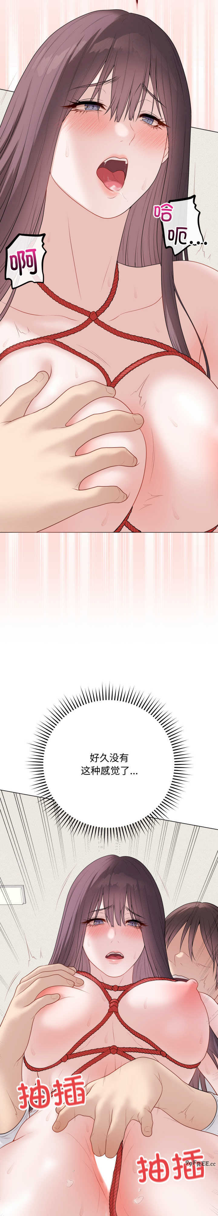 最后的冲刺/冲刺重考班