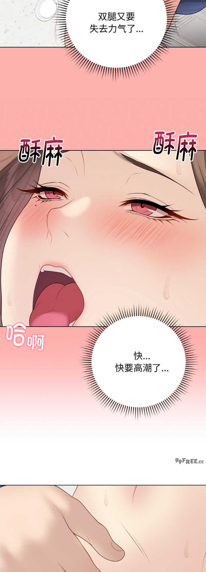 最后的冲刺/冲刺重考班