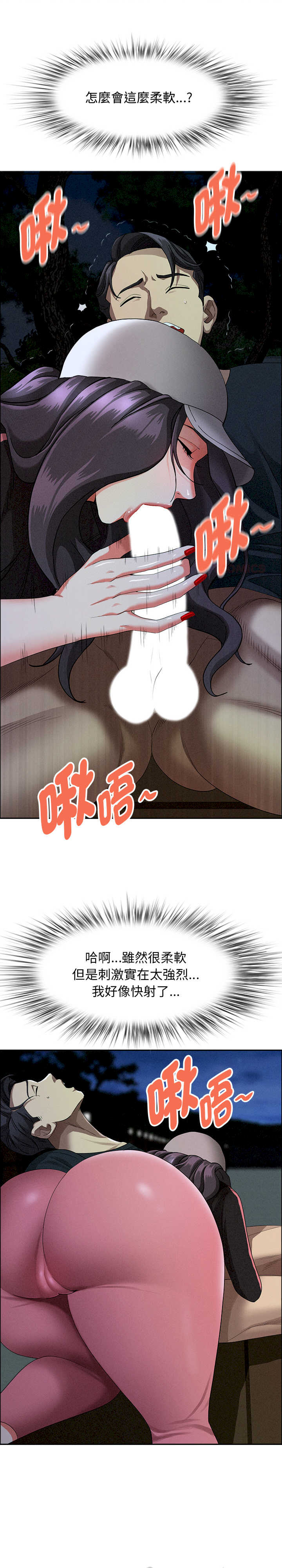 贵妇的专属保镖