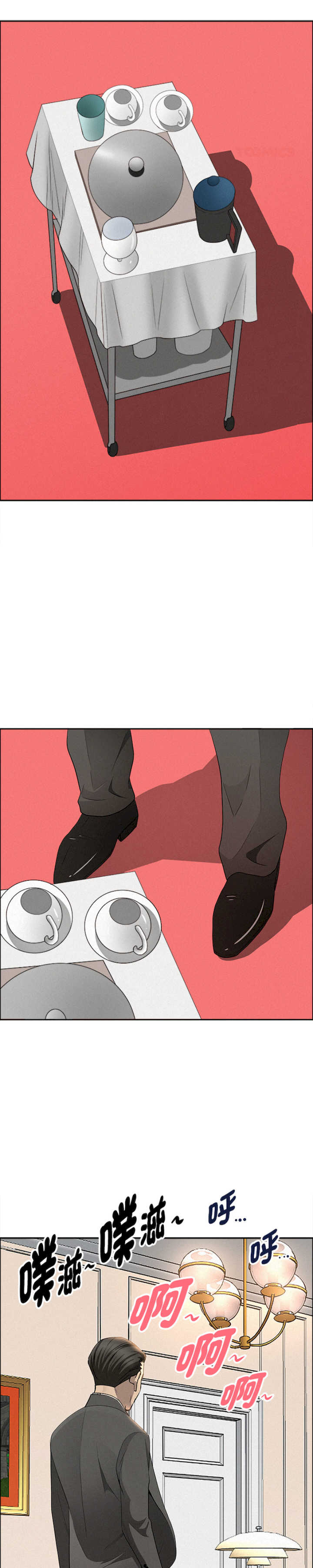 贵妇的专属保镖