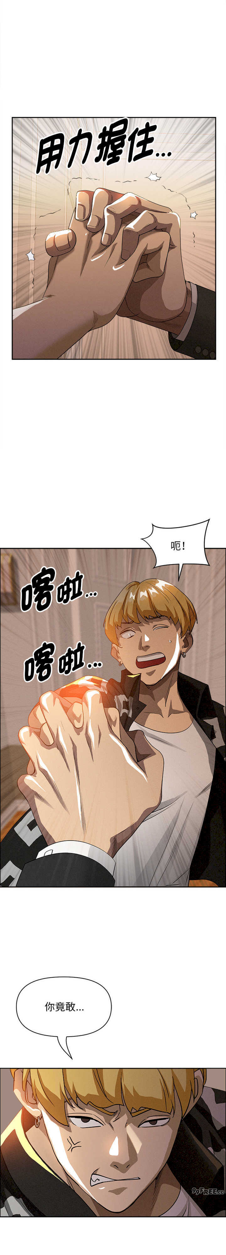 贵妇的专属保镖